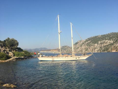 GÜNEŞ