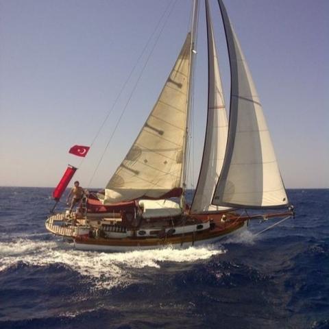 Kayıtsız III