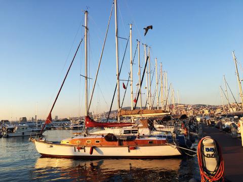 SU KUŞU