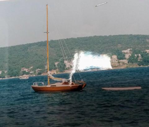TELLİ