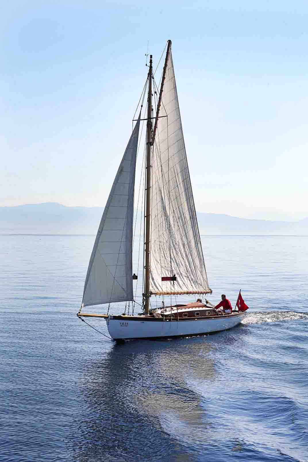 VILIA — 2